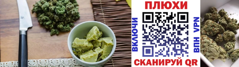 блэк спрут как зайти  Ардатов  Cannafood марихуана 