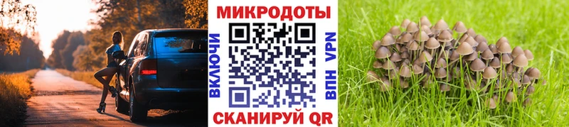 Галлюциногенные грибы прущие грибы  Ардатов 
